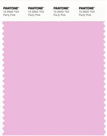 PANTONE® USA | Pantone 13-2820 TSX Party Pink