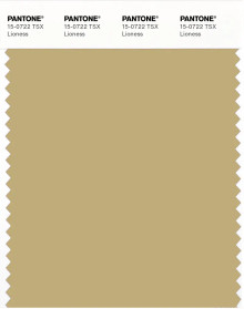 PANTONE® UK | Pantone 15-0722 TSX Lioness