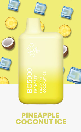 EB BC5000 PINEAPPLE COCONUT JUICE