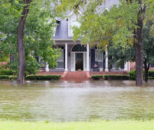 Choosing Front Doors for Extreme Weather: Texas Heat, Coastal Humidity, and More