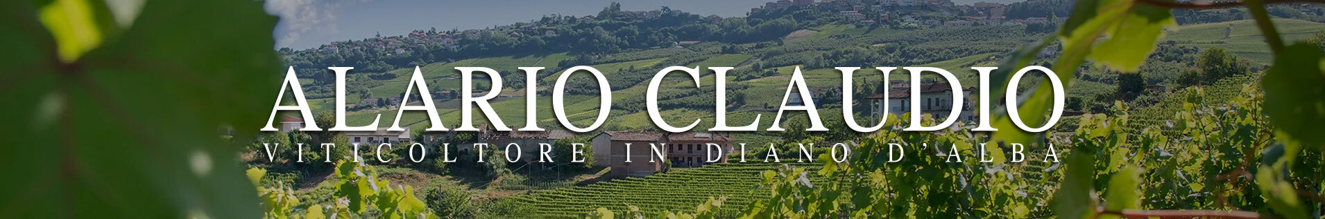 CLAUDIO BANNER