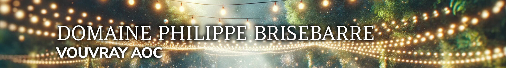 BRISEBARRE BANNER