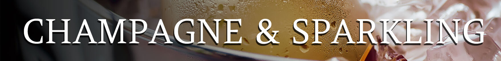 CHAMPAGNE SPARKLING BANNER