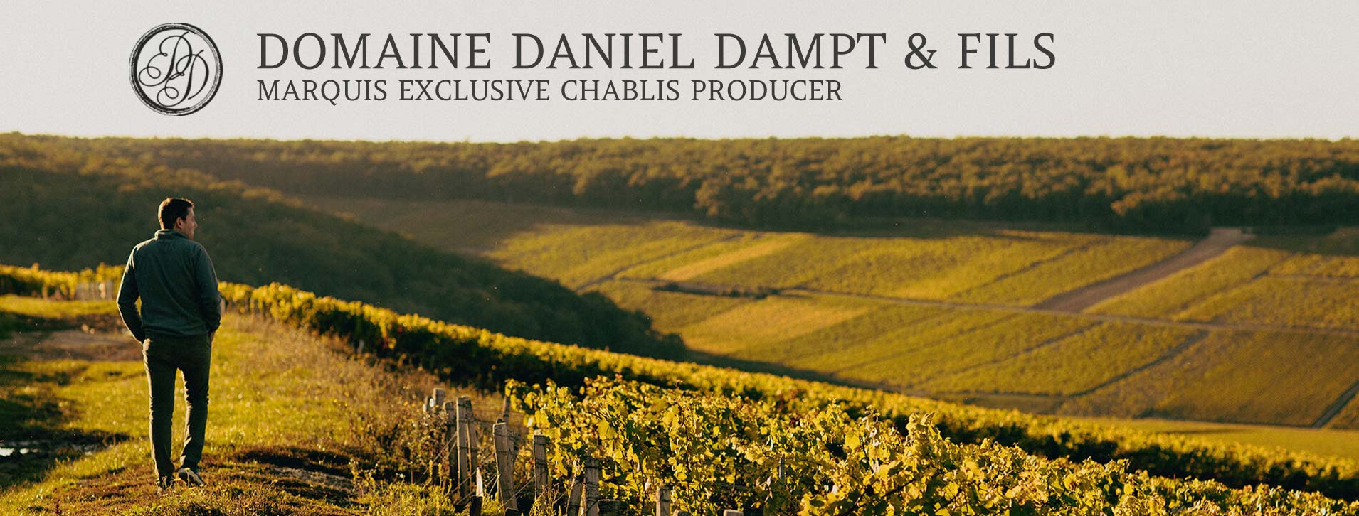 daniel dampt banner