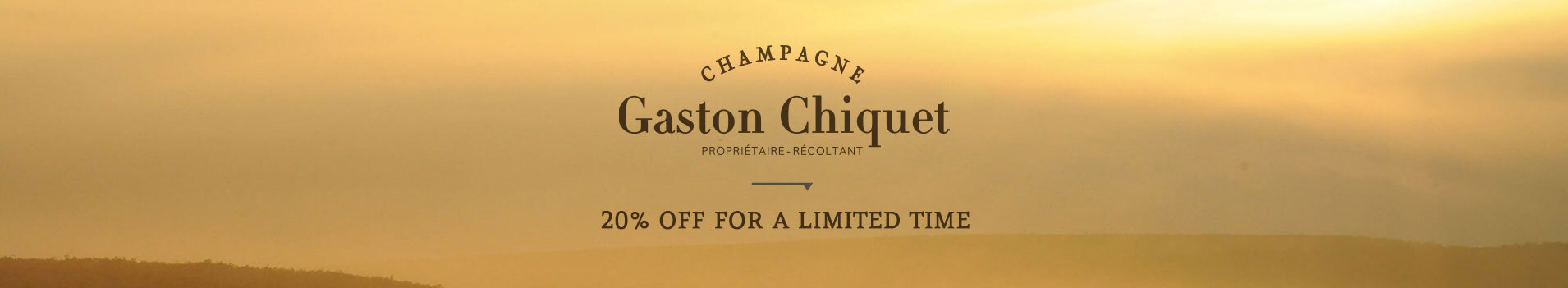 GASTON CHIQUET SALE BANNER