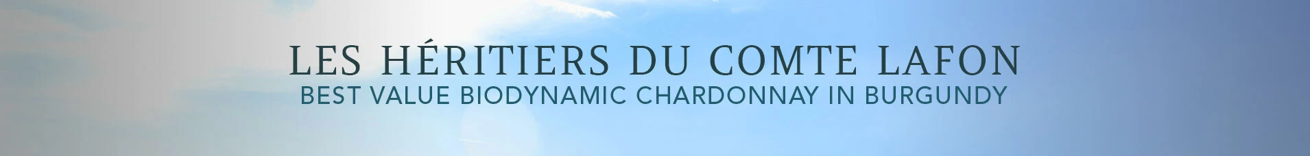 LAFON BANNER
