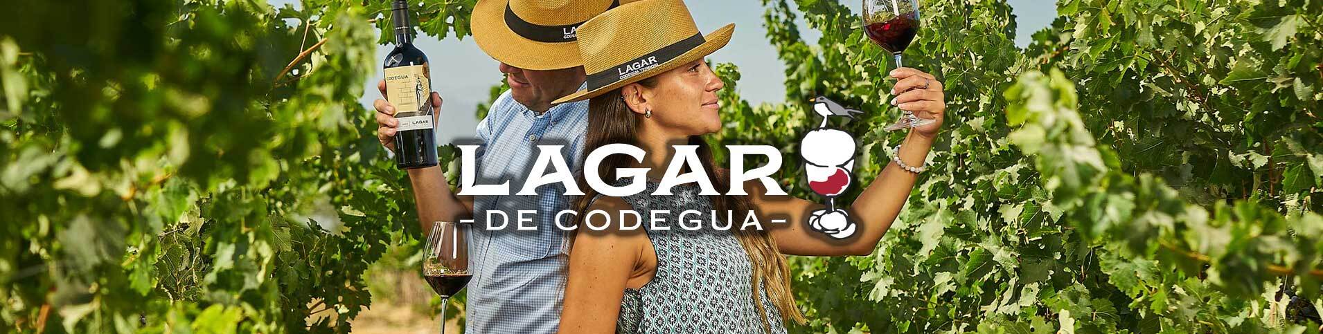 LAGAR BANNER