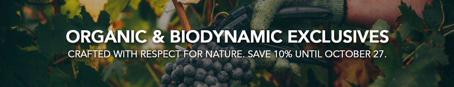 ORGANIC WINE SALE BANNER