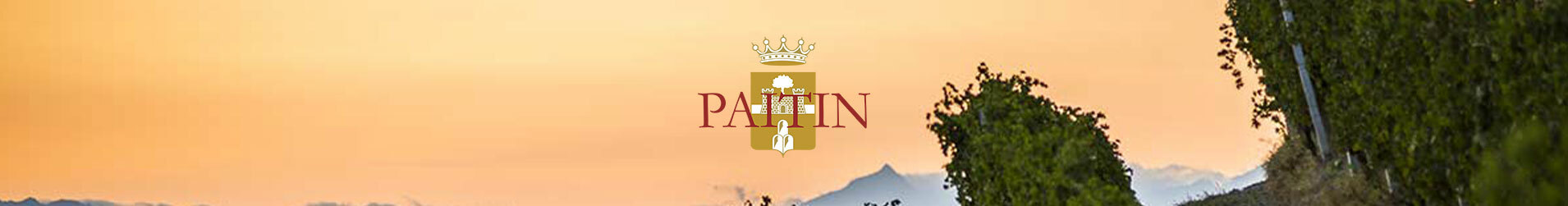 Paitin Banner