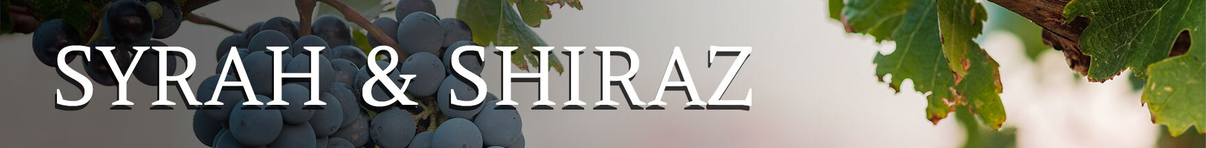 SYRAH AND SHIRAZ BANNER