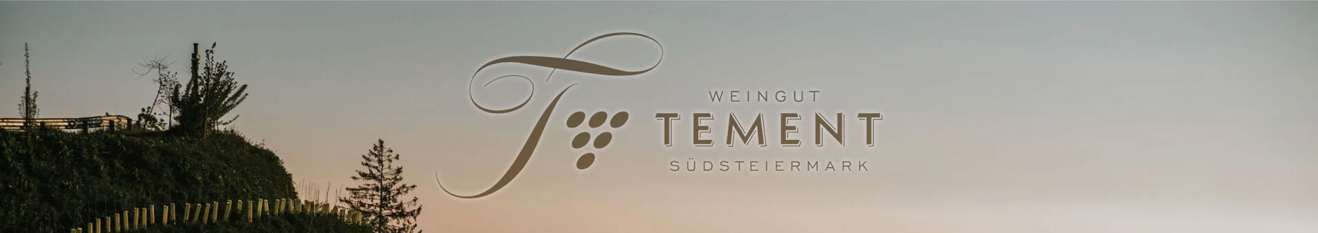 TEMENT CAROUSEL BANNER