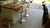 Customer Image