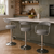 Zenith Bar Stool Slate Grey