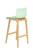 Green Mela Bar Stool