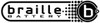 BRAILLE AUTO BATTERY