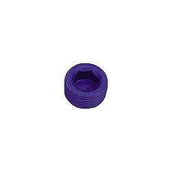 XRP-XTREME RACING PROD. 1/8in Allen Head Pipe Plug (2pk) XRP993202