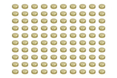 PIONEER Expansion Plugs - 1-5/8 Brass (100pk) PIOEPC-41-B-100