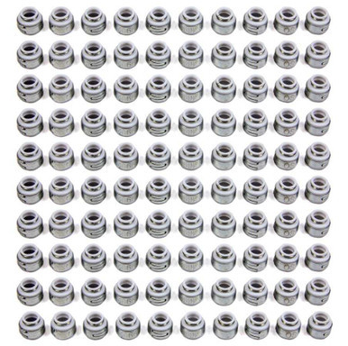 PIONEER Teflon Oil Seals - 11/32 (100) PIOOS-1066-100