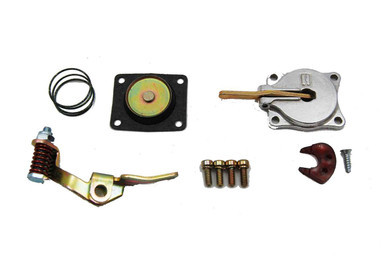 30cc Accelerator Pump Kit AED5570