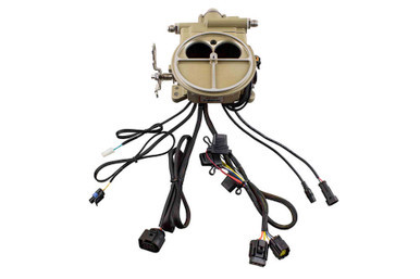 FiTECH FUEL INJECTION Go EFI 2 Barrel EFI Kit HP Classic Gold FIT39001