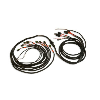 FUELTECH USA PRO550/600 Ford V8 Smart Coil Complete Harness FTH2002100109