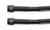 6AN 8in Nitrous Line Black RHP902-06-08-2