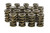 ISKY CAMS 1.560 Valve Springs ISK9985