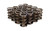MANLEY 1.650 NexTek Dual Valve Springs MAN221454-16
