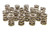 PAC RACING SPRINGS 1.550 Dual Valve Springs (16) PACPAC-1243-16