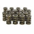ISKY CAMS 1.570 Dual Valve Springs ISK9968RAD
