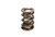 MANLEY 1.640 Dual Valve Spring  MAN221424-1
