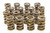 ISKY CAMS 1.600 Valve Springs ISK9999-RAD