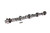 COMP CAMS Magnum 230/230 Hyd Rlr Cam Ford 221-302 COM31-452-8