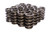 1.384 Dia. Dual Valve Springs- .805 ID. COM988-16