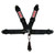 SIMPSON SAFETY Harness 5pt LL Pull-Down 3in Lap & Shoulder SIM13LD5WC