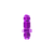 COLOR FITTINGS -10 AN FITTING BULKHEAD STRAIGHT  - PURPLE COFBHF-10-000-000-PU