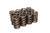 COMP CAMS VALVE SPRINGS, 1.269" HIGH PER COM941-12