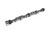 Bbc Billet Cam Cb-296Cr-8 Solid Roller COM11-715-9