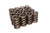 COMP CAMS 1.254 Dia. Outer Valve Springs- With Damper COM981-16