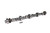 COMP CAMS SBF 351W Xtreme Hyd Roller Cam XR264RF-HR10 COM35-413-8