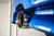 Turbo XS 04-08 Forester 2.5 XT Cat Back Exhaust - FXT04-CBE