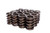 COMP CAMS Engine Valve Spring COM990-16