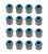Vale Stem Seals 16pk Flouro-Viton Metal Body CAG3237V-16