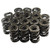 PAC RACING SPRINGS 1.625 Dual Valve Springs (16) PACPAC-1224-16