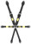 Enduro Harness 6 Point Quick Change Hans Blk CRW31004