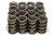 PAC RACING SPRINGS 1.539 Dual Valve Springs w/Damper (16) PACPAC-1297-16