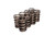 COMP CAMS VALVE SPRINGS, 1.384" 2 SPRING COM988-8