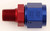 XRP-XTREME RACING PROD. #6 Str Fem to 3/8in NPT Swivel Adapter XRP900666