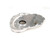 COMP CAMS Bbc Alm Timing Cover COM212