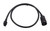 Sensor Cable 3ft LSU4.9  INN38900